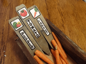 (c) 2013 Amanda Balough