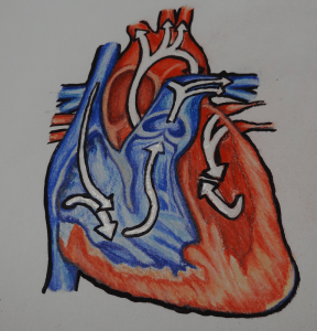 (c) 2014 Amanda Balough