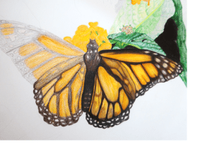 (c) 2014 Amanda Balough