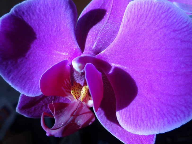 (c) 2014 Amanda Balough