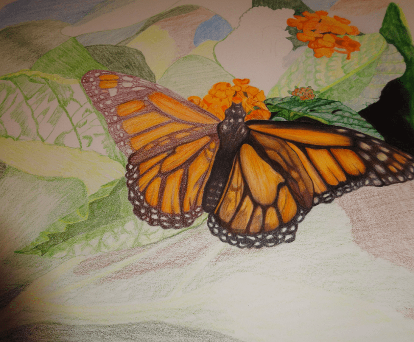 (c) 2014 Amanda Balough